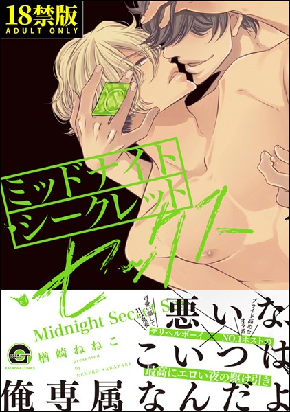 ミッドナイト・シークレット・セックス【極】