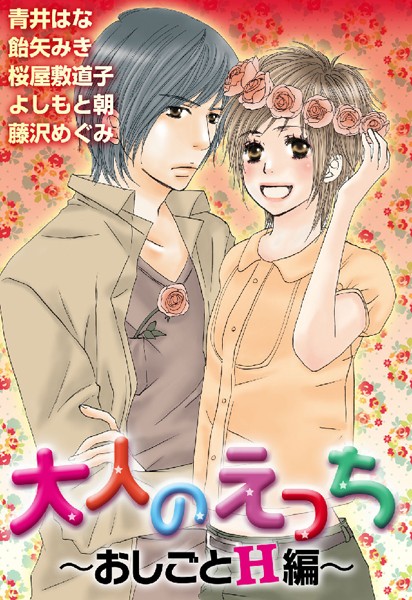 大人のえっち〜おしごとH編〜