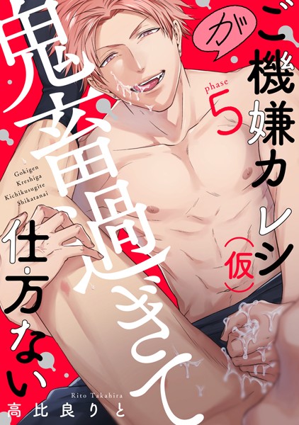 ご機嫌カレシ（仮）が鬼畜過ぎて仕方ない（単話）