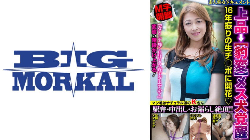 上品→【豹変】メス犬覚醒 16年振りの生チ◯ポに開花 駅弁・中出し・お漏らし絶頂！！ 久保今日子